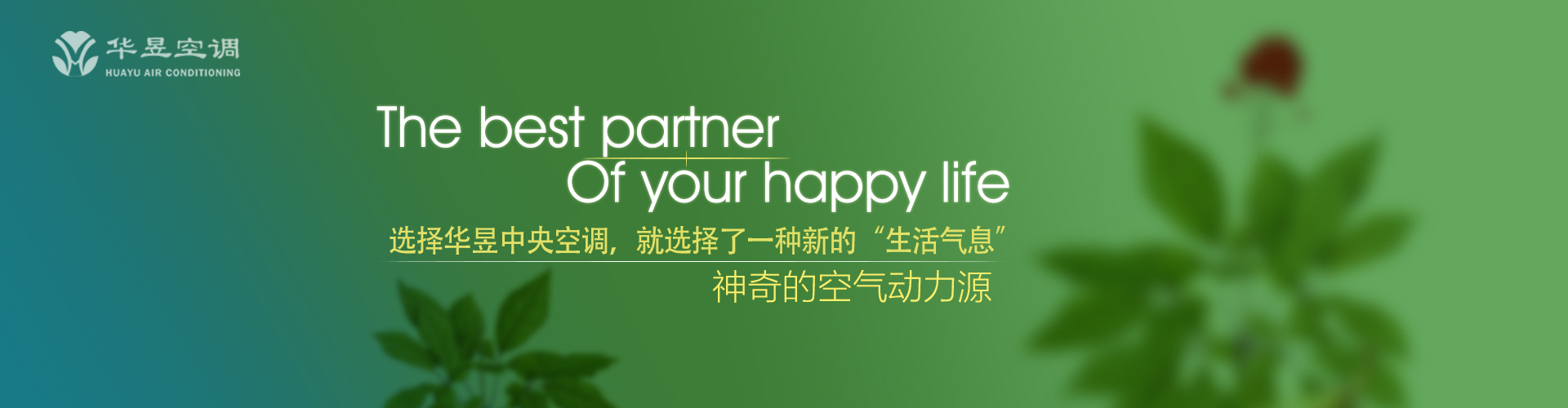 轻如鸿毛网